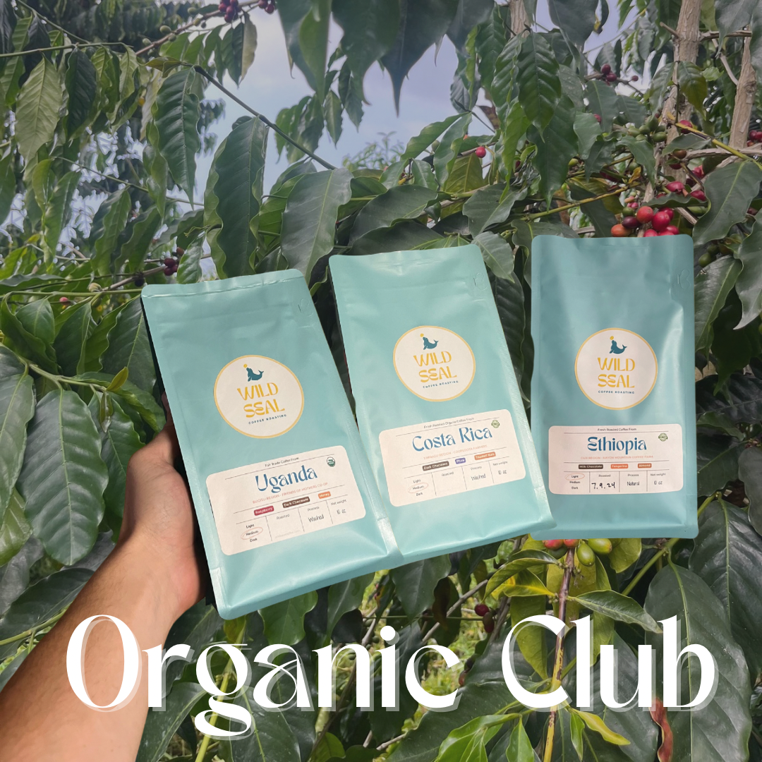 Organic Coffee Subscription